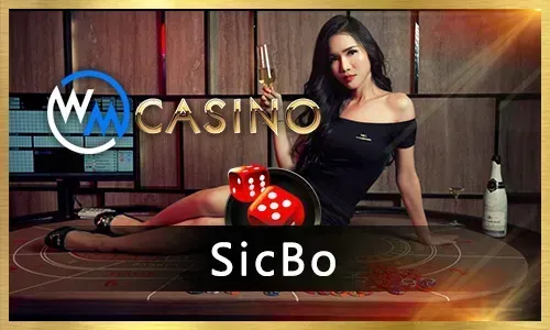 Bingo Cashback Promotion